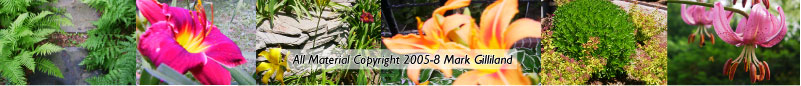 all materials copyright 2005-2010 Mark Gilliland