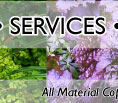 our services